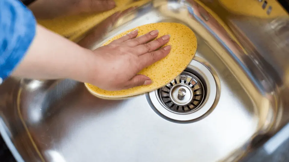 Cleaning Sinks and Drains to a High Standard