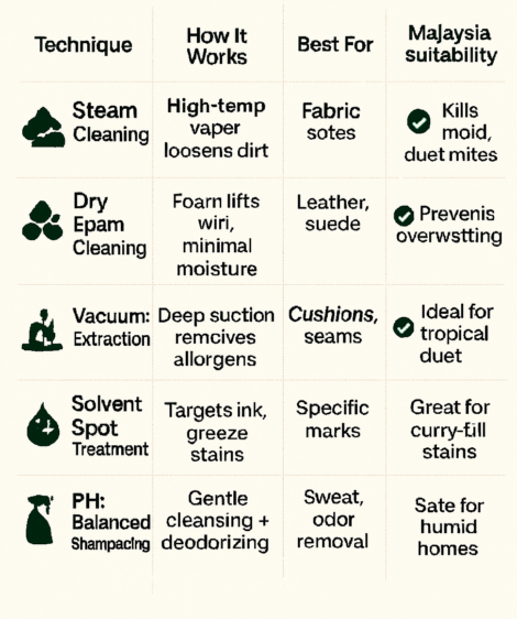 An infographic-style